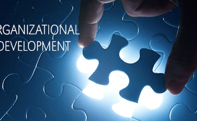 Quality Circles and the Role of Human Resources in Developing Organizations